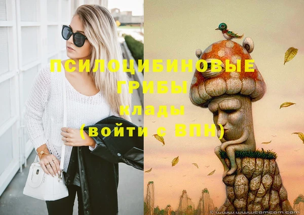 крисы Бугульма