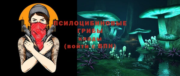 ALPHA PVP Верея