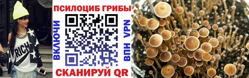 Псилоцибиновые грибы Magic Shrooms  Купить где  Малмыж 